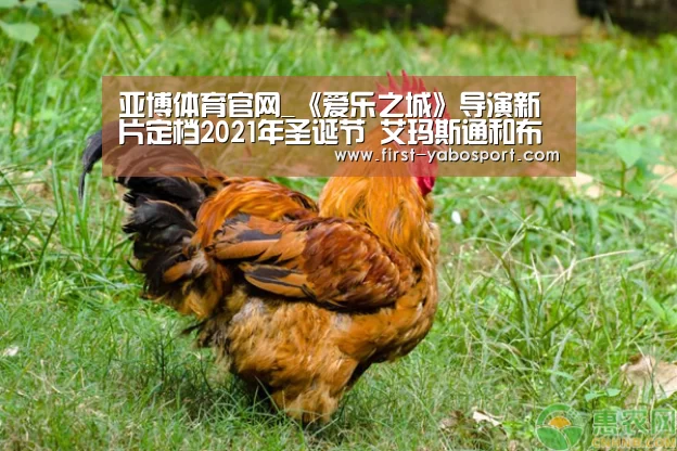 亚博体育官网_《爱乐之城》导演新片定档2021年圣诞节 艾玛斯通和布拉德皮特商谈主演(图1) 亚博官网