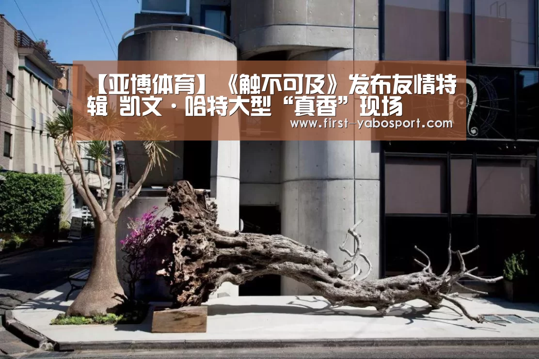 【亚博体育】《触不可及》发布友情特辑 凯文·哈特大型“真香”现场(图1) 【亚博体育】《触不可及》发布友情特辑 凯文·哈特大型“真香”现场(图1)